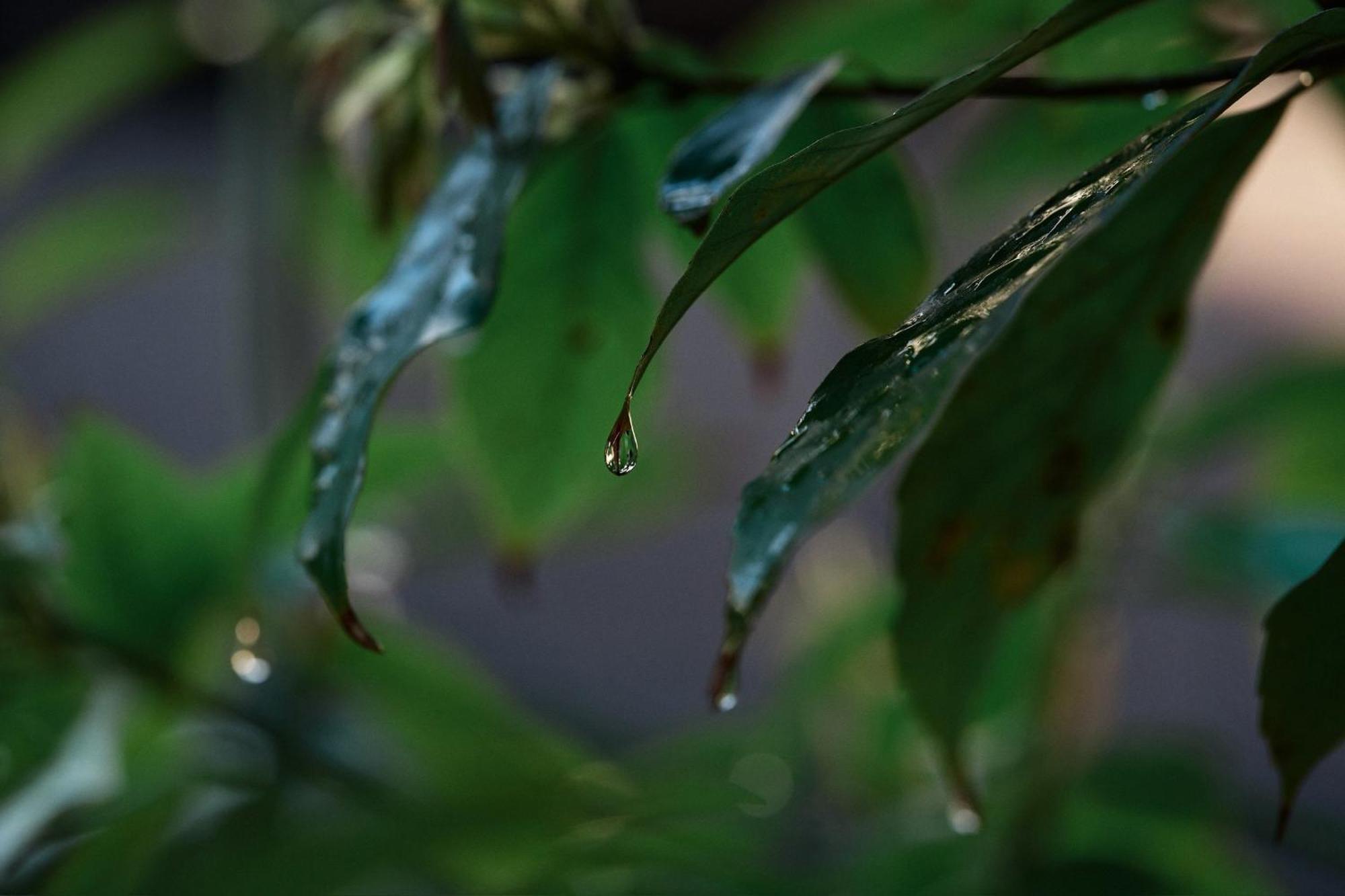 Unsui 武雄蓬莱町 雲水 Leilighet Eksteriør bilde